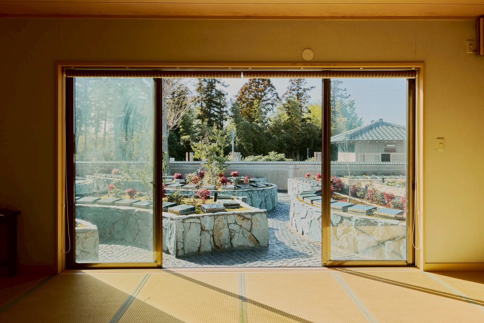 永代供養型の樹木葬 彩華